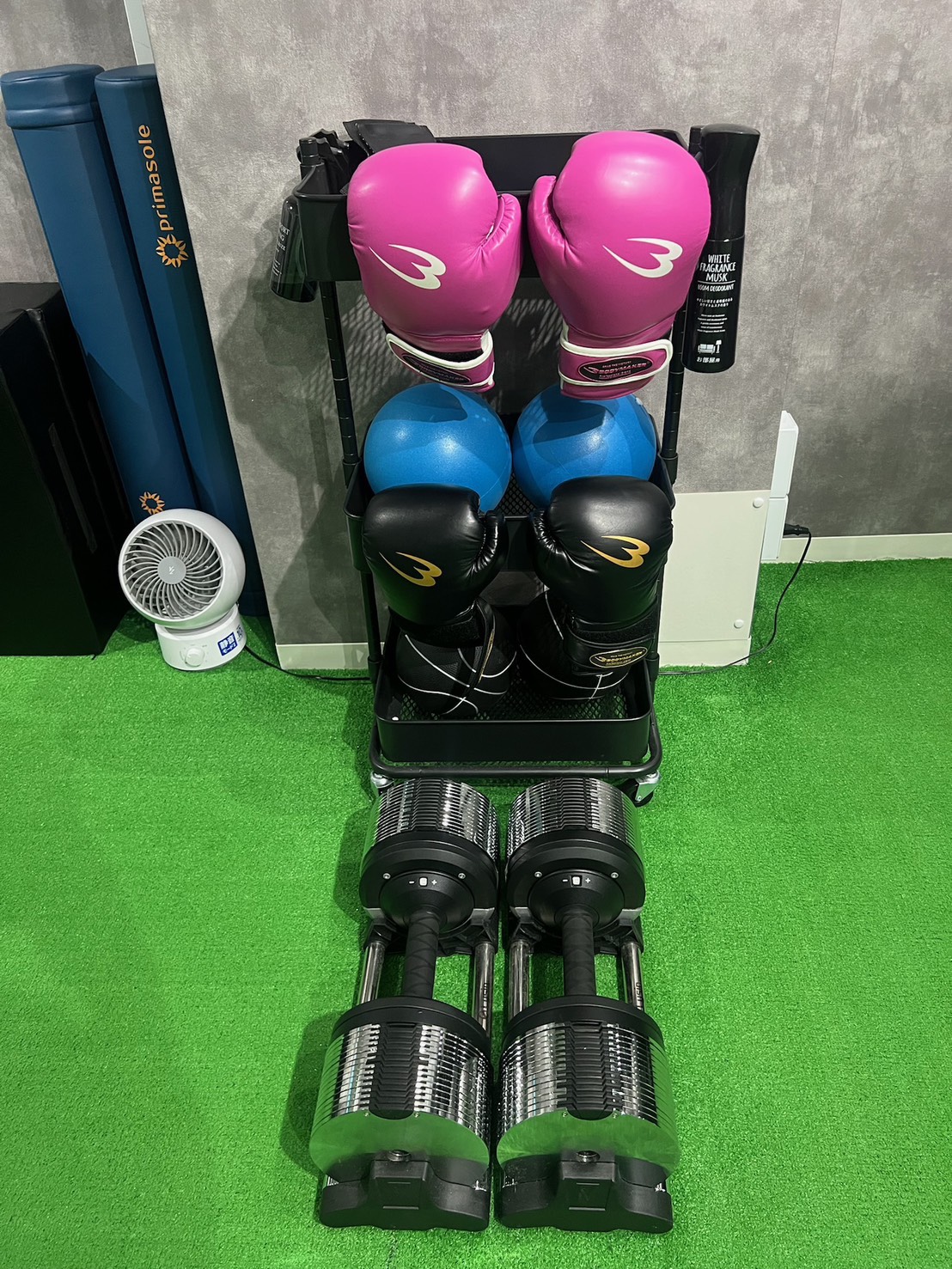 キックボクシング用グローブ等